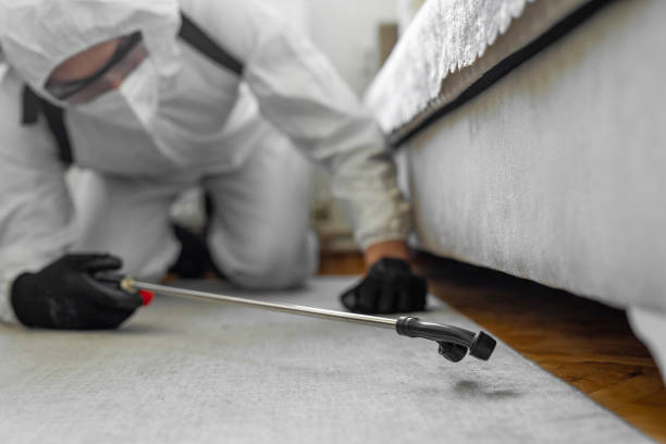 Professional Cockroach Control technician working in East Marion, NY